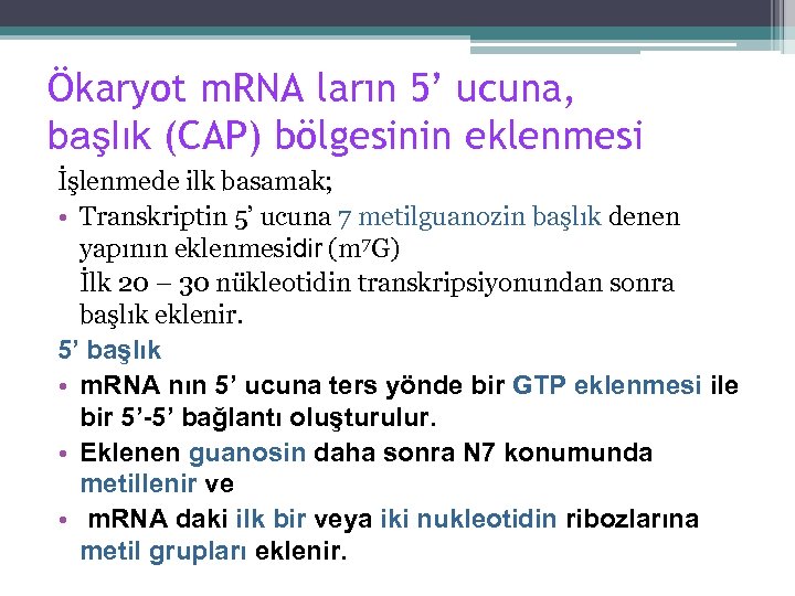 Ökaryot m. RNA ların 5’ ucuna, başlık (CAP) bölgesinin eklenmesi İşlenmede ilk basamak; •