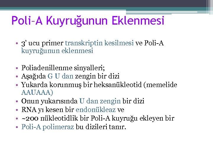 Poli–A Kuyruğunun Eklenmesi • 3’ ucu primer transkriptin kesilmesi ve Poli-A kuyruğunun eklenmesi •