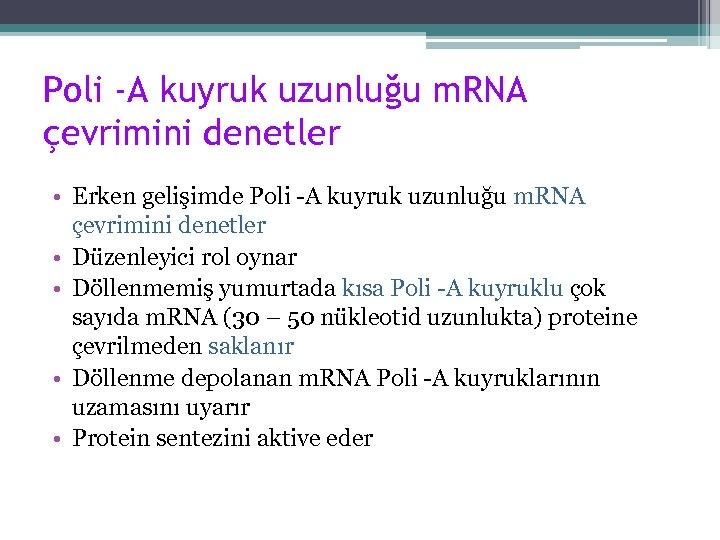 Poli -A kuyruk uzunluğu m. RNA çevrimini denetler • Erken gelişimde Poli -A kuyruk