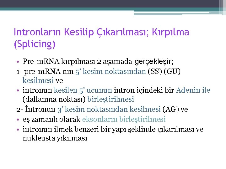 Intronların Kesilip Çıkarılması; Kırpılma (Splicing) • Pre-m. RNA kırpılması 2 aşamada gerçekleşir; 1 -