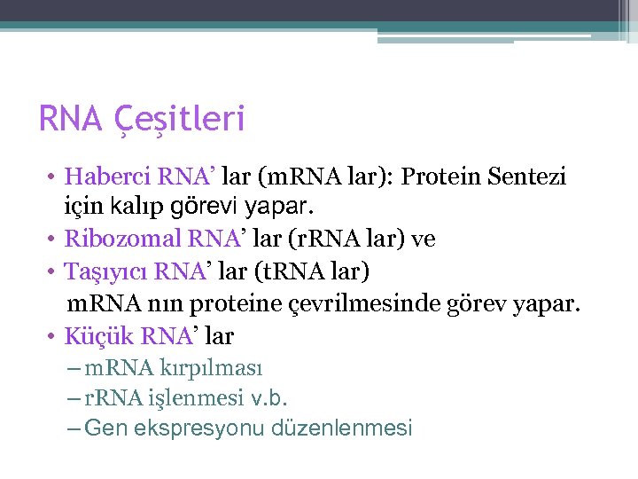 RNA Çeşitleri • Haberci RNA’ lar (m. RNA lar): Protein Sentezi için kalıp görevi