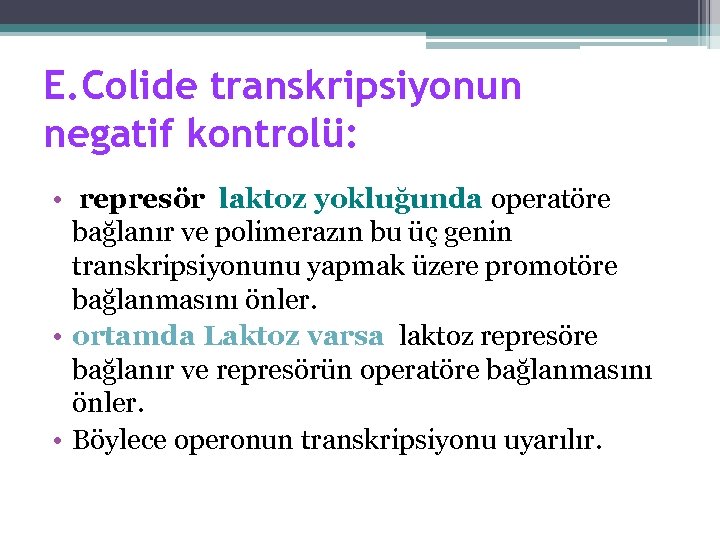 E. Colide transkripsiyonun negatif kontrolü: • represör laktoz yokluğunda operatöre bağlanır ve polimerazın bu