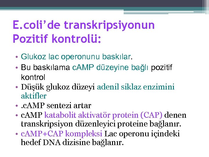 E. coli’de transkripsiyonun Pozitif kontrolü: • Glukoz lac operonunu baskılar. • Bu baskılama c.