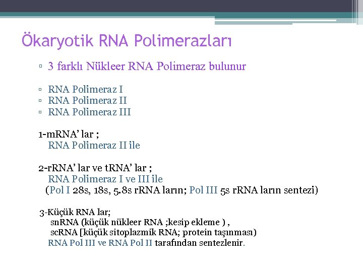 Ökaryotik RNA Polimerazları ▫ 3 farklı Nükleer RNA Polimeraz bulunur ▫ RNA Polimeraz III