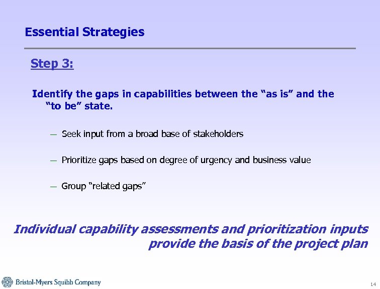 Essential Strategies Step 3: Identify the gaps in capabilities between the “as is” and