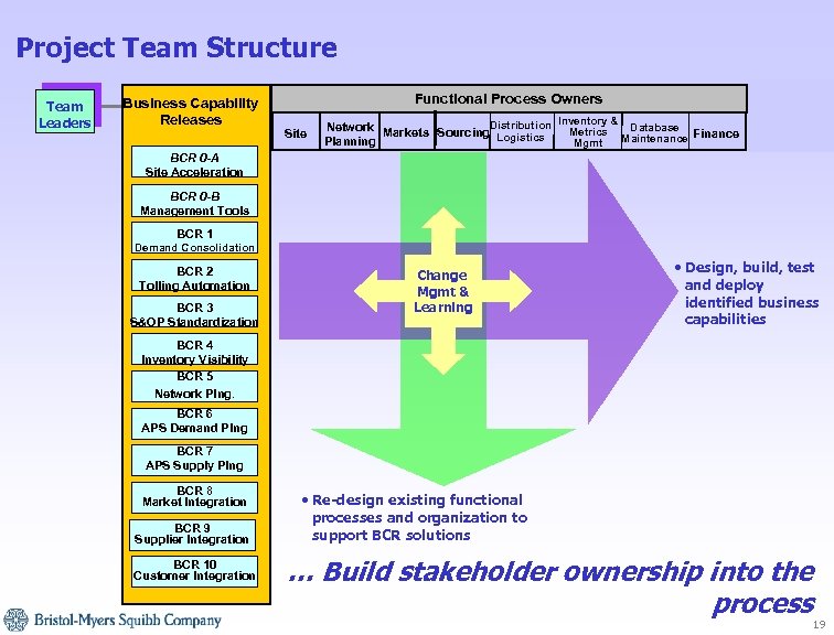 Project Team Structure Team Leaders Business Capability Releases Functional Process Owners Site Network Markets