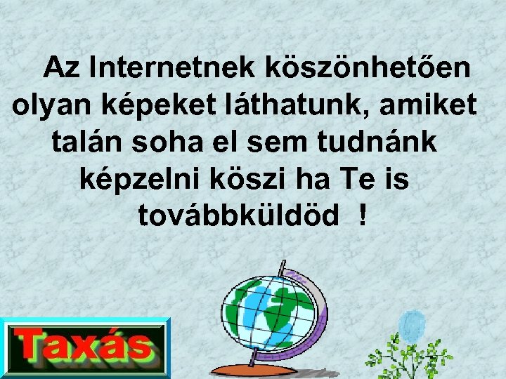 Az Internetnek köszönhetően olyan képeket láthatunk, amiket talán soha el sem tudnánk képzelni köszi