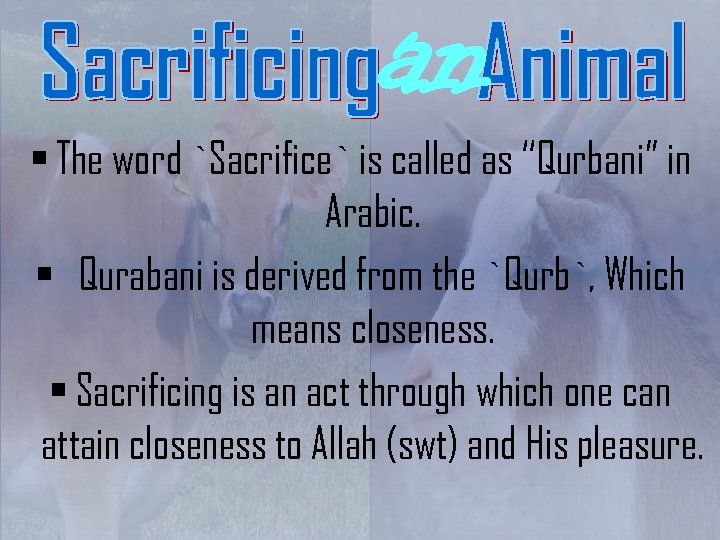 an § The word `Sacrifice` is called as “Qurbani” in Arabic. § Qurabani is