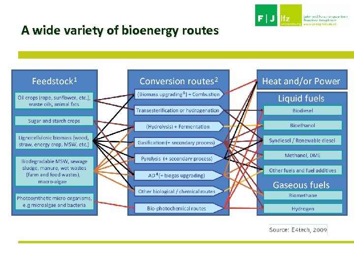 A wide variety of bioenergy routes 