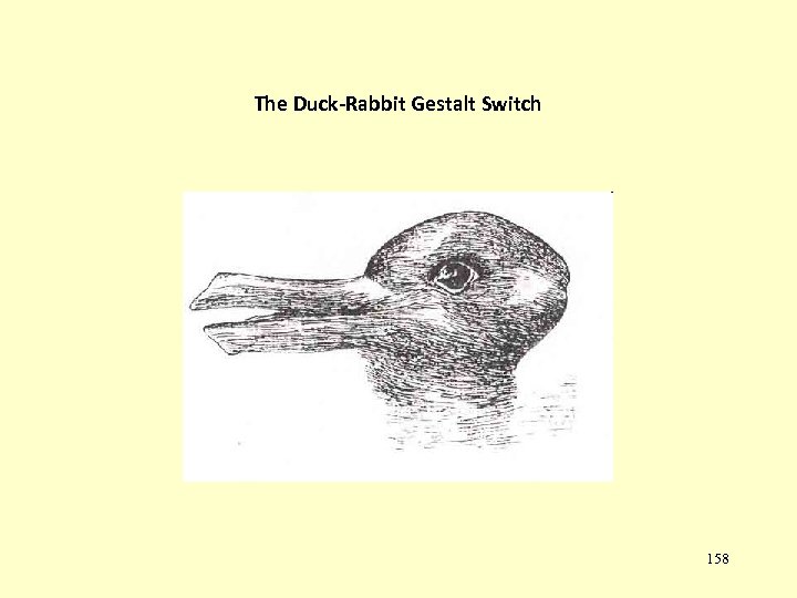 The Duck-Rabbit Gestalt Switch 158 
