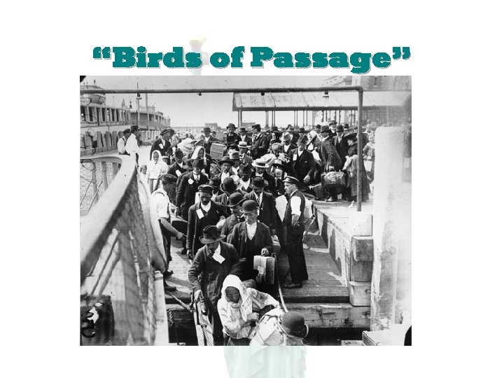 “Birds of Passage” 