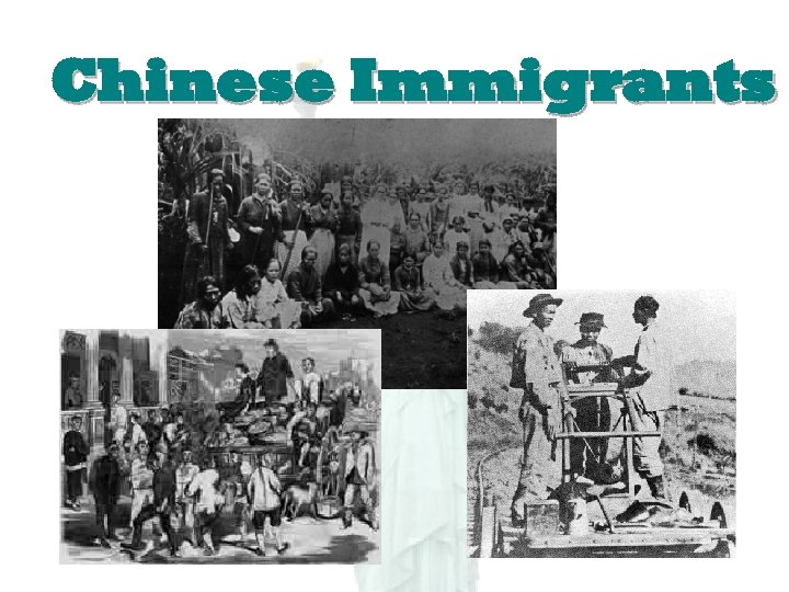 Chinese Immigrants 