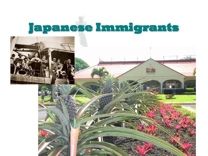 Japanese Immigrants 