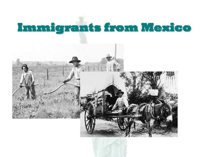 Immigrants from Mexico 