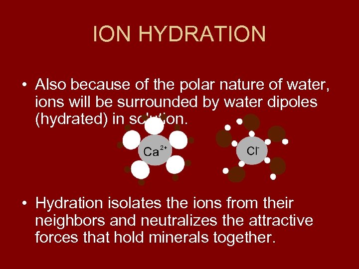 ION HYDRATION • Also because of the polar nature of water, ions will be