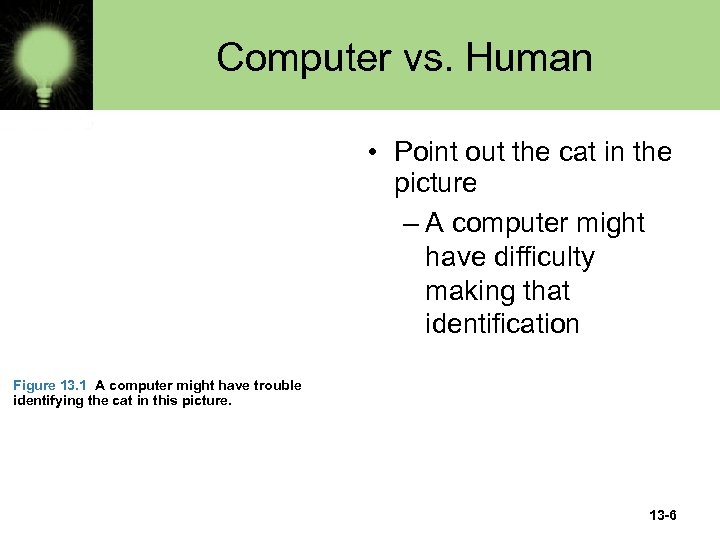 Computer vs. Human • Point out the cat in the picture – A computer
