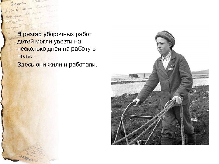 В разгар уборочных работ детей могли увезти на несколько дней на работу в поле.