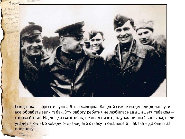 Солдатам на фронте нужна была махорка. Каждой семье выделяли делянку, и все обрабатывали табак.