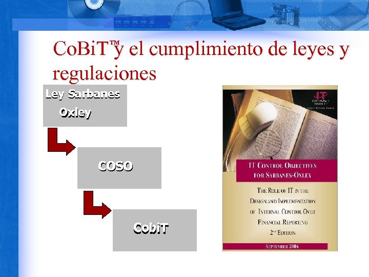 Co. Bi. T y el cumplimiento de leyes y regulaciones TM Ley Sarbanes Internal