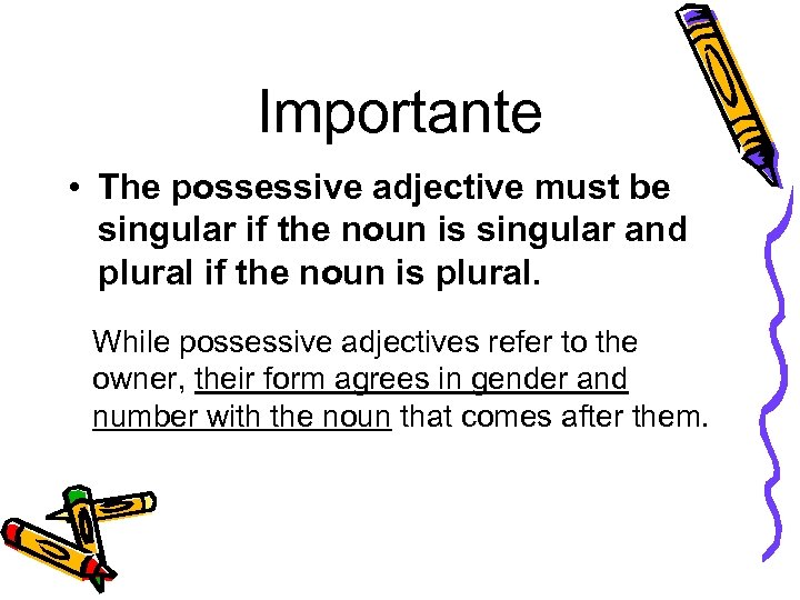 Importante • The possessive adjective must be singular if the noun is singular and