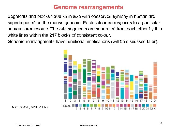 Genome rearrangements Segments and blocks >300 kb in size with conserved synteny in human