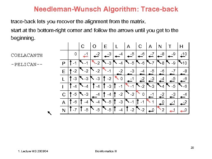 Needleman-Wunsch Algorithm: Trace-back trace-back lets you recover the alignment from the matrix. start at
