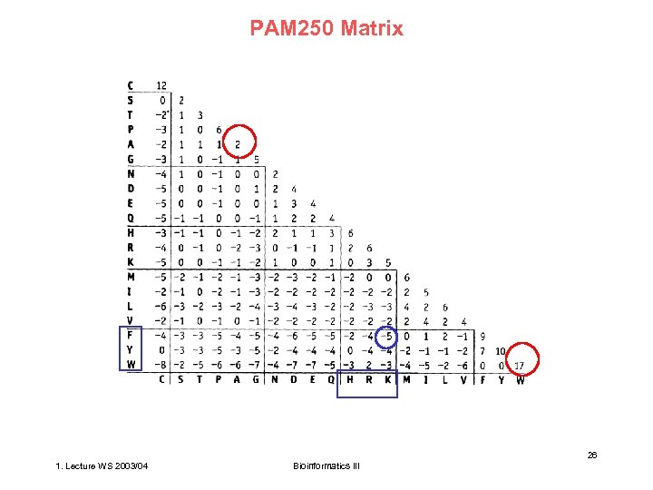 PAM 250 Matrix 26 1. Lecture WS 2003/04 Bioinformatics III 