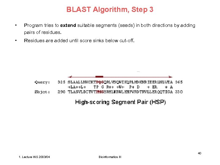 BLAST Algorithm, Step 3 • Program tries to extend suitable segments (seeds) in both