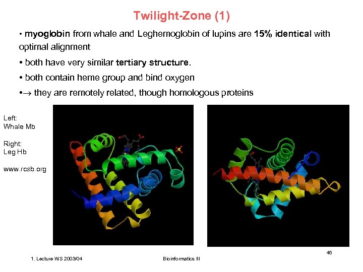 Twilight-Zone (1) • myoglobin from whale and Leghemoglobin of lupins are 15% identical with