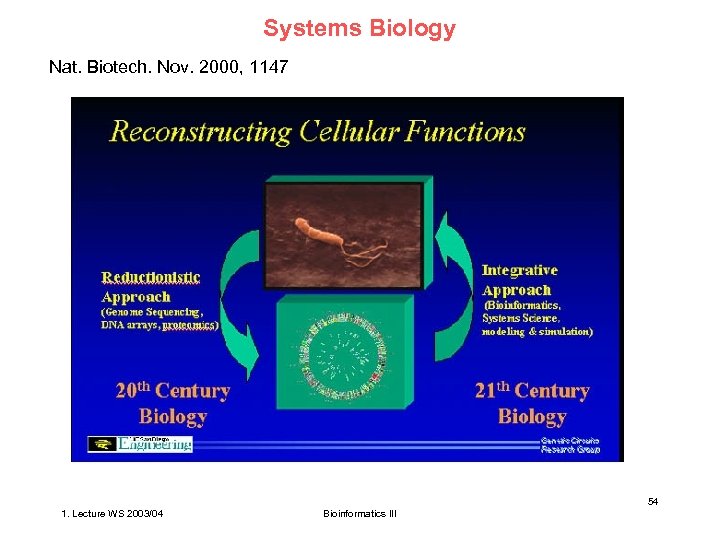 Systems Biology Nat. Biotech. Nov. 2000, 1147 54 1. Lecture WS 2003/04 Bioinformatics III