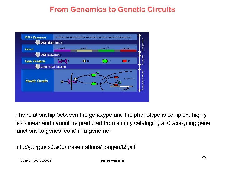 From Genomics to Genetic Circuits The relationship between the genotype and the phenotype is