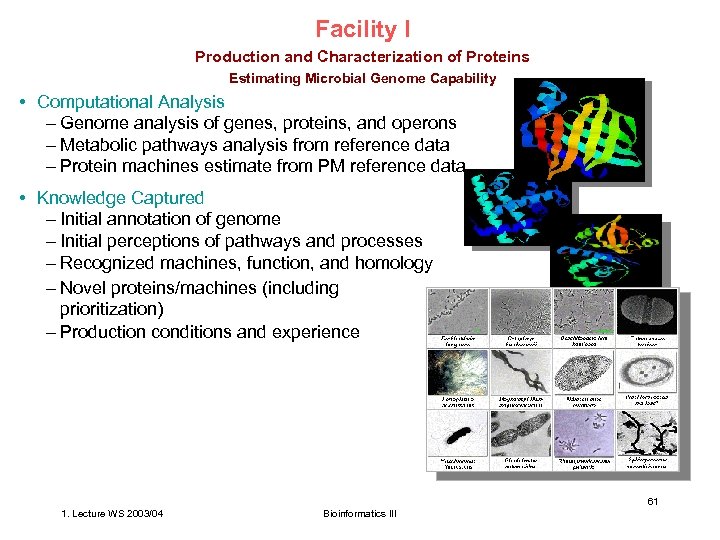 Facility I Production and Characterization of Proteins Estimating Microbial Genome Capability • Computational Analysis