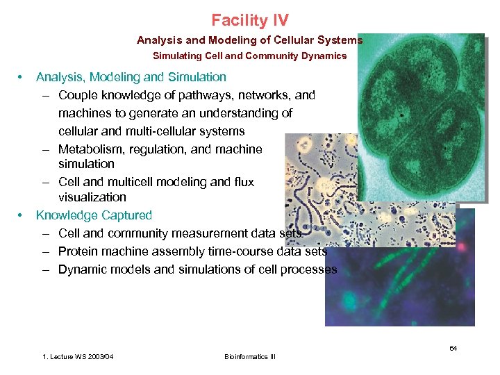 Facility IV Analysis and Modeling of Cellular Systems Simulating Cell and Community Dynamics •
