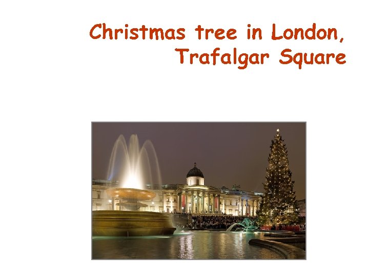 Christmas tree in London, Trafalgar Square 