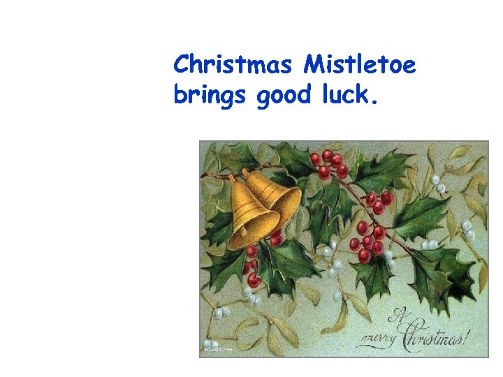 Christmas Mistletoe brings good luck. 