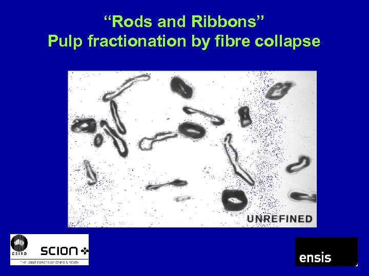 “Rods and Ribbons” Pulp fractionation by fibre collapse 