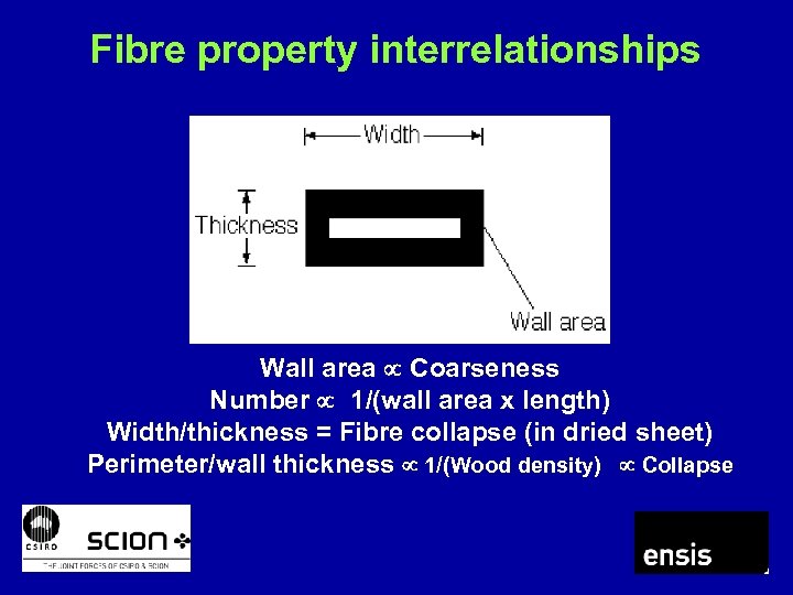 Fibre property interrelationships Wall area Coarseness Number 1/(wall area x length) Width/thickness = Fibre