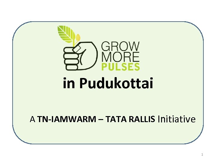 in Pudukottai A TN-IAMWARM – TATA RALLIS Initiative 1 