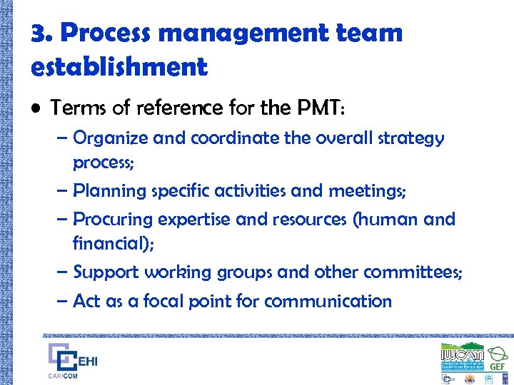 3. Process management team establishment • Terms of reference for the PMT: – Organize