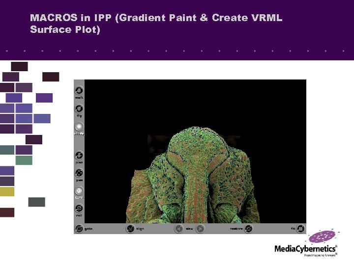 MACROS in IPP (Gradient Paint & Create VRML Surface Plot) 