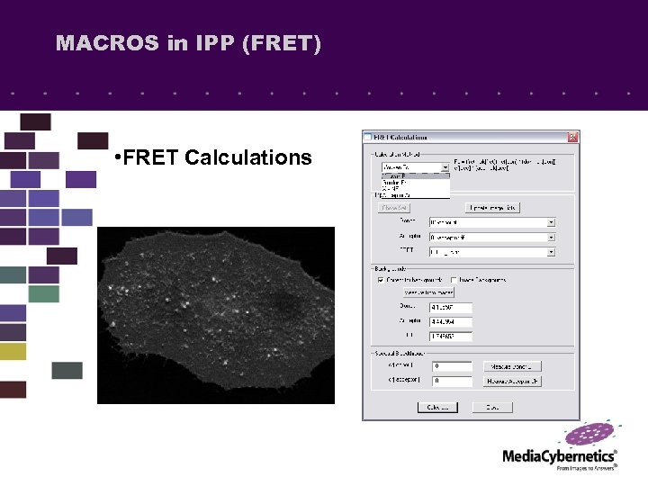 MACROS in IPP (FRET) • FRET Calculations 