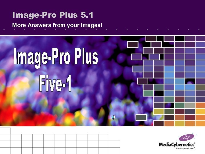 Image-Pro Plus 5. 1 More Answers from your Images! 