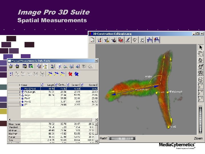 Image Pro 3 D Suite Spatial Measurements 