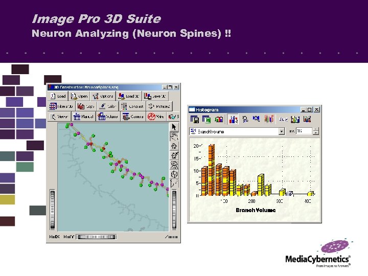 Image Pro 3 D Suite Neuron Analyzing (Neuron Spines) !! 