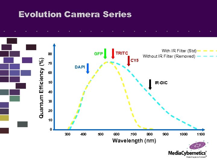Evolution Camera Series GFP Quantum Efficiency (%) 80 TRITC CY 5 70 With IR