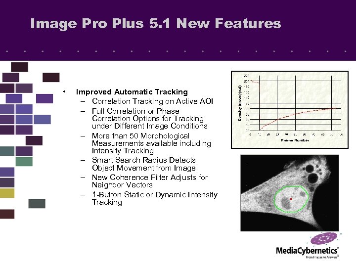 Image Pro Plus 5. 1 New Features • Improved Automatic Tracking – Correlation Tracking
