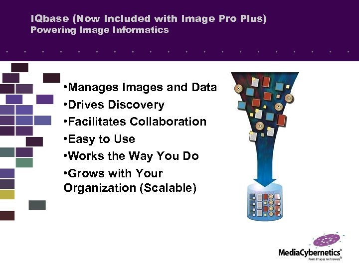 IQbase (Now Included with Image Pro Plus) Powering Image Informatics • Manages Images and