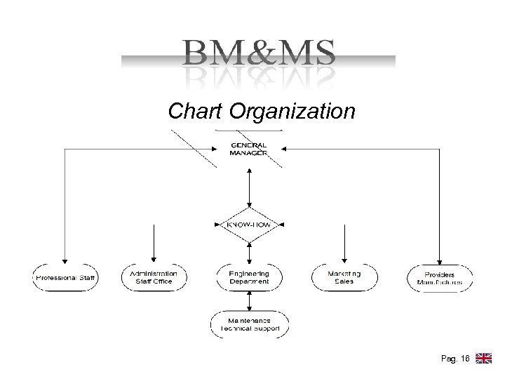 Chart Organization Pag. 16 