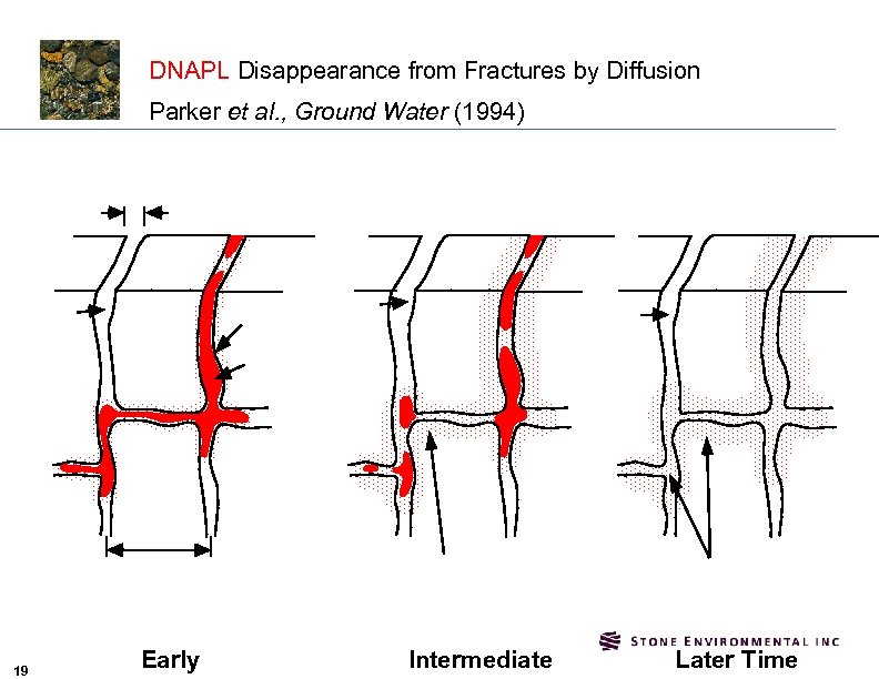 DNAPL Disappearance from Fractures by Diffusion Parker et al. , Ground Water (1994) Fracture