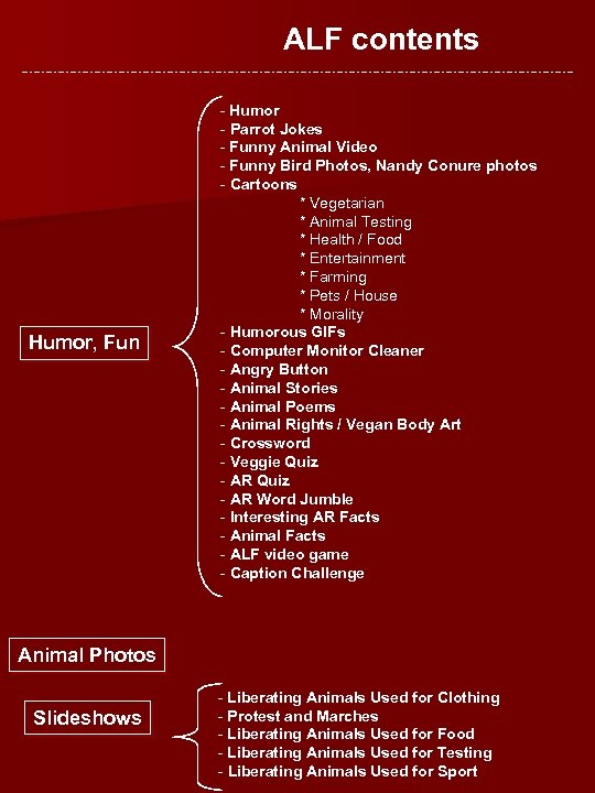 ALF contents Humor, Fun - Humor - Parrot Jokes - Funny Animal Video -